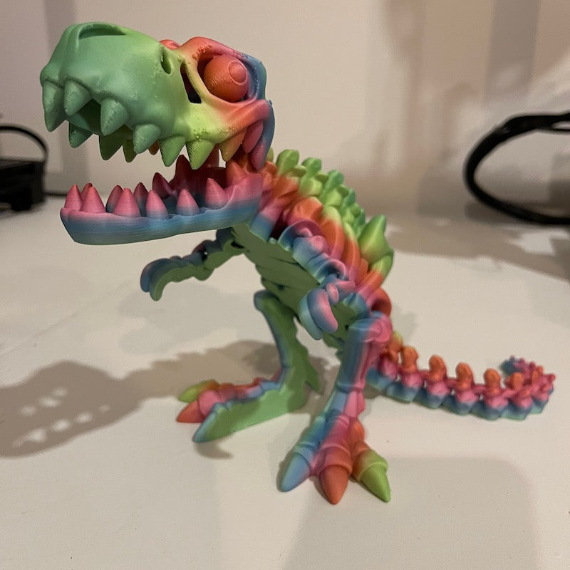 T Rex Skeleton Multicolour Large