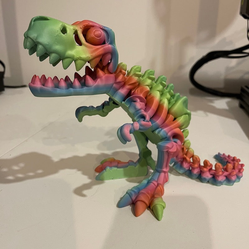 T Rex Skeleton Multicolour Large