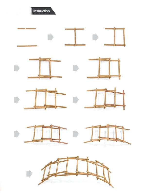 DaVinci Bridge