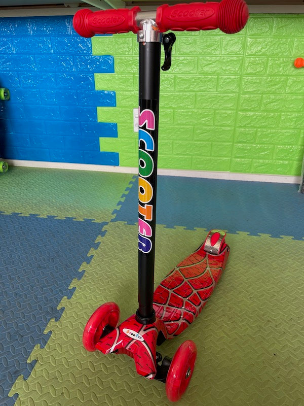 Kids Kick Scooter with LED Wheels
