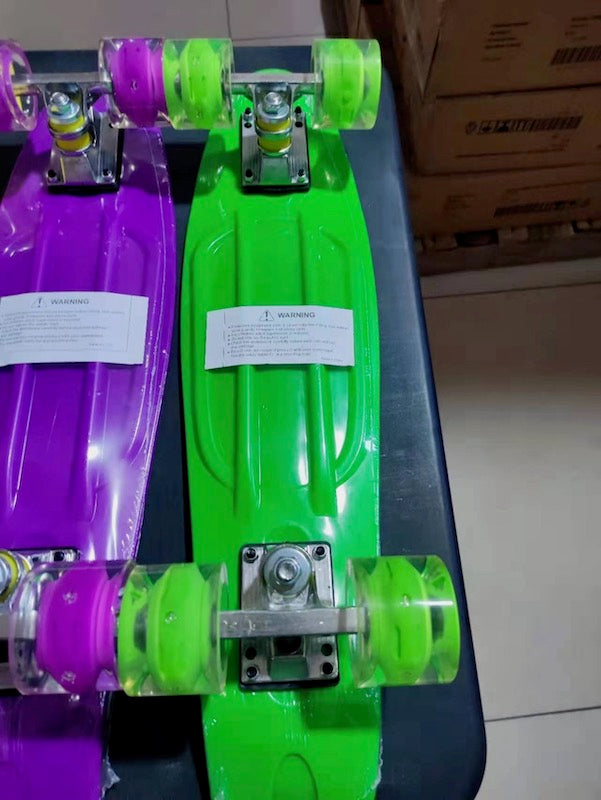 Penny Board Skateboard