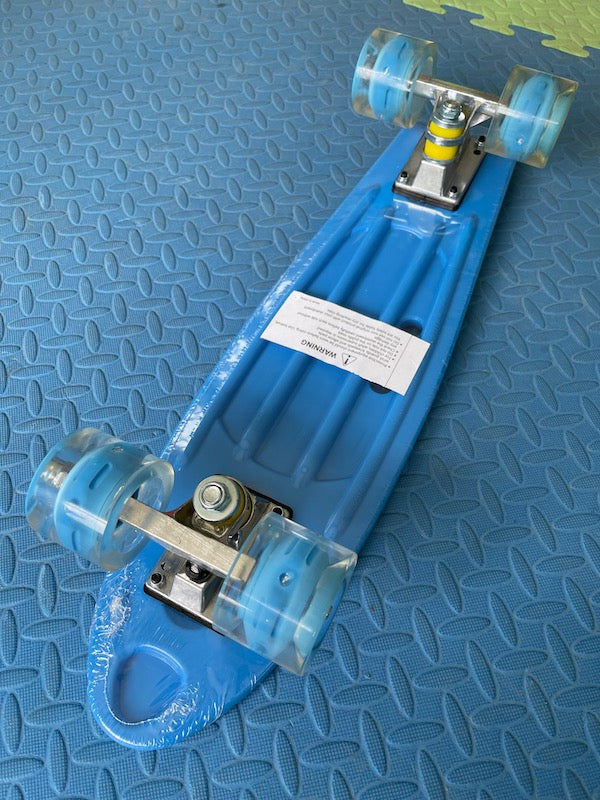 Penny Board Skateboard