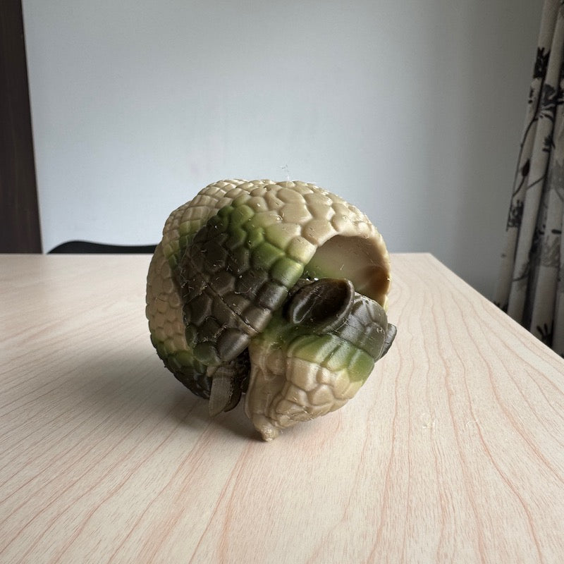 3D Printed Armadillo