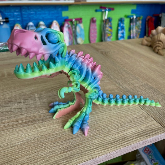 3D Printed T Rex Skeleton Medium size Multicolour Matte