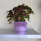 Elomi Planter Pot - matte pastel purple